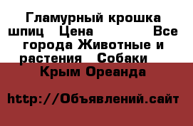 Гламурный крошка шпиц › Цена ­ 30 000 - Все города Животные и растения » Собаки   . Крым,Ореанда